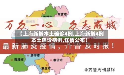 【上海新增本土确诊4例,上海新增4例本土确诊病例,详情公布】-第3张图片