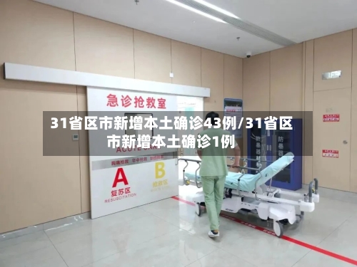 31省区市新增本土确诊43例/31省区市新增本土确诊1例