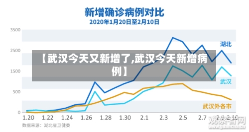 【武汉今天又新增了,武汉今天新增病例】