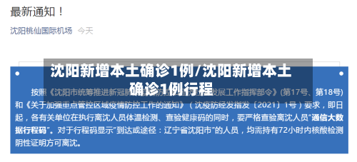 沈阳新增本土确诊1例/沈阳新增本土确诊1例行程-第2张图片