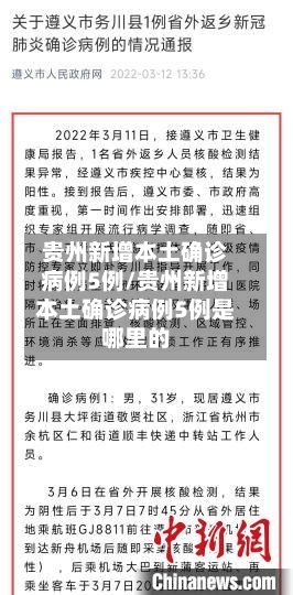 贵州新增本土确诊病例5例/贵州新增本土确诊病例5例是哪里的-第3张图片