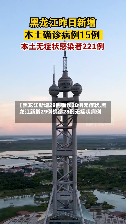 【黑龙江新增29例确诊28例无症状,黑龙江新增29例确诊28例无症状病例】-第2张图片