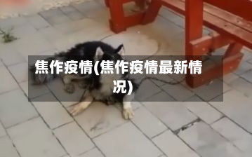 焦作疫情(焦作疫情最新情况)