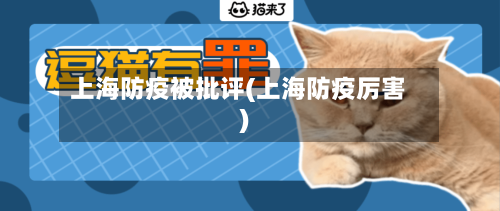上海防疫被批评(上海防疫厉害)