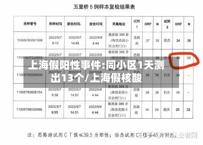 上海假阳性事件:同小区1天测出13个/上海假核酸