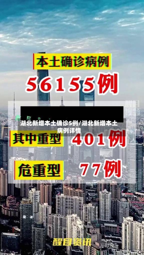 湖北新增本土确诊5例/湖北新增本土病例详情-第3张图片