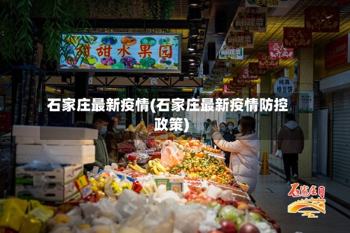 石家庄最新疫情(石家庄最新疫情防控政策)-第2张图片