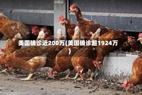 美国确诊近200万(美国确诊超1924万)