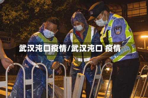武汉沌口疫情/武汉沌口 疫情
