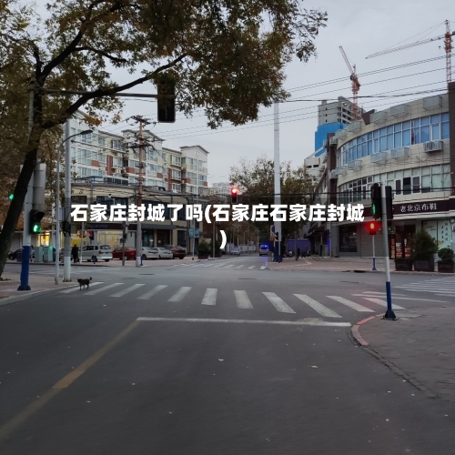 石家庄封城了吗(石家庄石家庄封城)