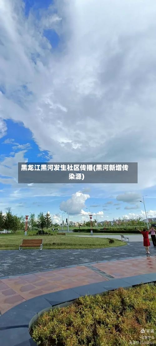 黑龙江黑河发生社区传播(黑河新增传染源)-第3张图片