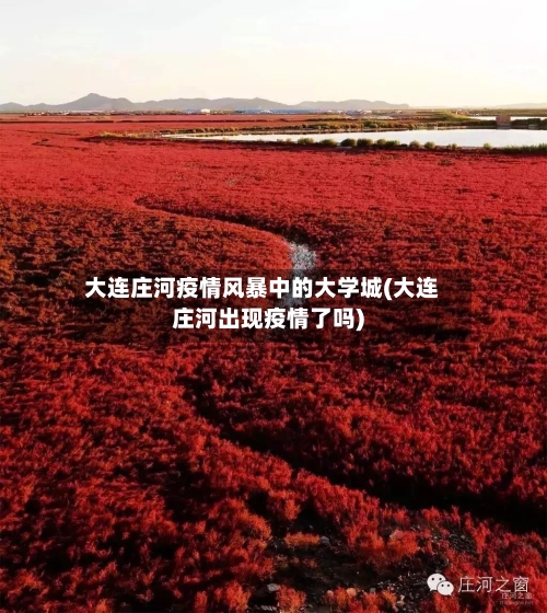 大连庄河疫情风暴中的大学城(大连庄河出现疫情了吗)