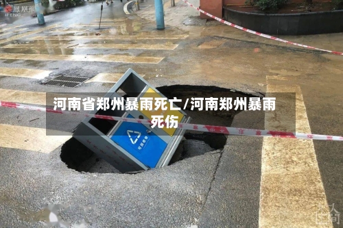 河南省郑州暴雨死亡/河南郑州暴雨死伤