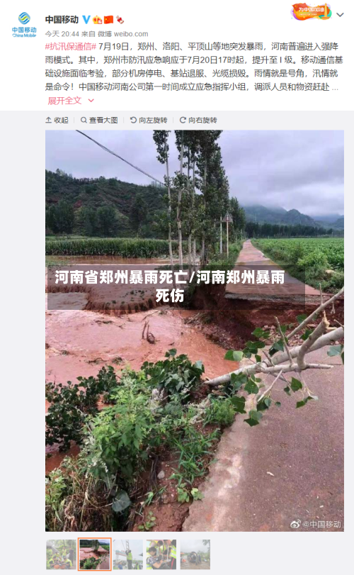 河南省郑州暴雨死亡/河南郑州暴雨死伤-第3张图片