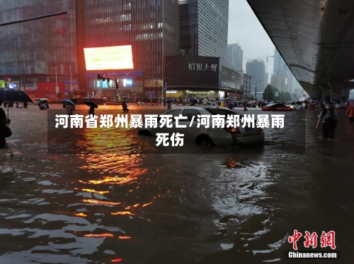 河南省郑州暴雨死亡/河南郑州暴雨死伤-第2张图片