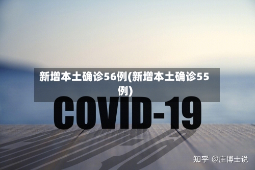 新增本土确诊56例(新增本土确诊55例)