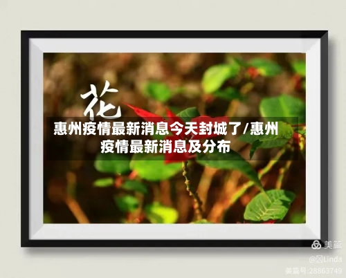 惠州疫情最新消息今天封城了/惠州疫情最新消息及分布-第2张图片
