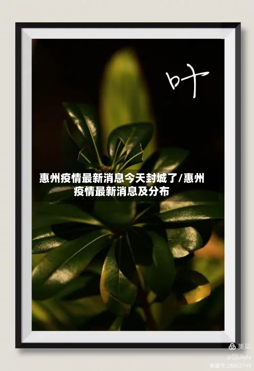 惠州疫情最新消息今天封城了/惠州疫情最新消息及分布-第3张图片