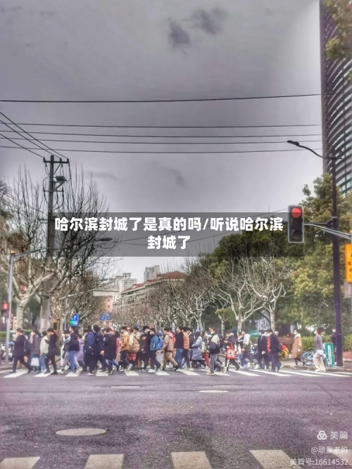 哈尔滨封城了是真的吗/听说哈尔滨封城了