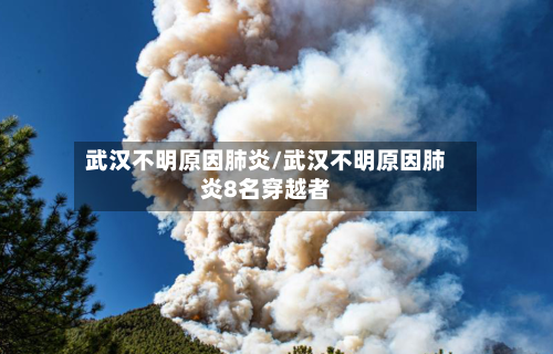 武汉不明原因肺炎/武汉不明原因肺炎8名穿越者-第2张图片