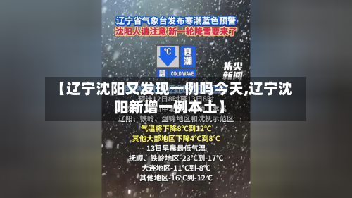 【辽宁沈阳又发现一例吗今天,辽宁沈阳新增一例本土】