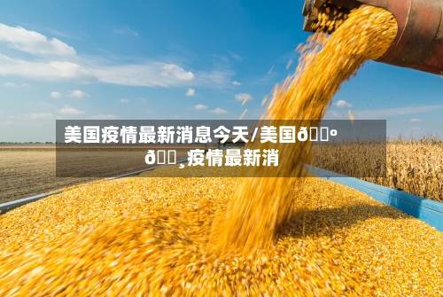 美国疫情最新消息今天/美国🇺🇸疫情最新消息-第2张图片