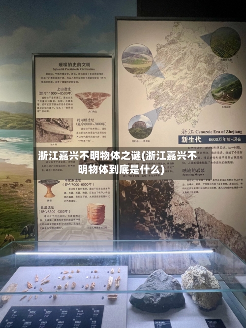 浙江嘉兴不明物体之谜(浙江嘉兴不明物体到底是什么)
