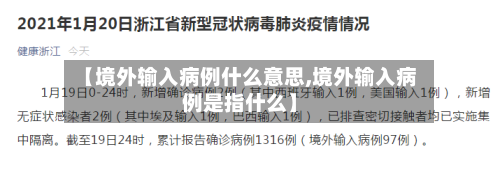 【境外输入病例什么意思,境外输入病例是指什么】-第2张图片