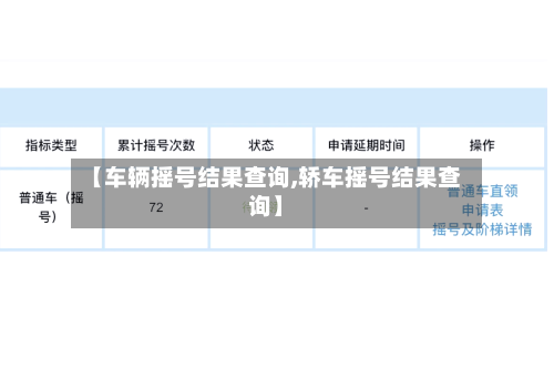 【车辆摇号结果查询,轿车摇号结果查询】