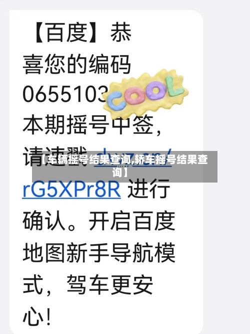 【车辆摇号结果查询,轿车摇号结果查询】-第3张图片