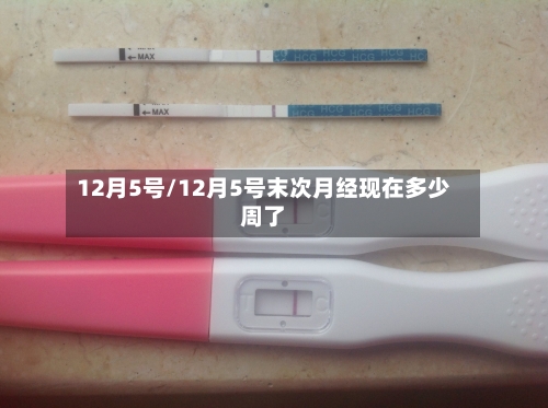 12月5号/12月5号末次月经现在多少周了-第2张图片