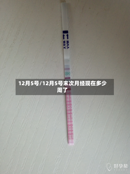 12月5号/12月5号末次月经现在多少周了