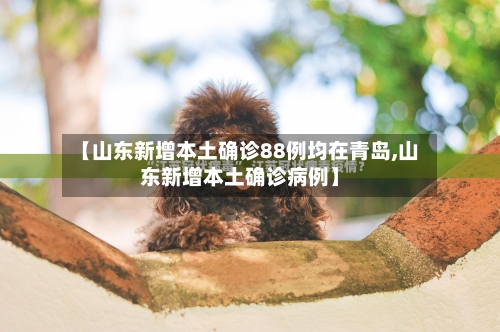 【山东新增本土确诊88例均在青岛,山东新增本土确诊病例】-第3张图片