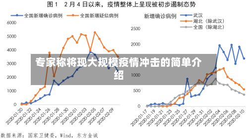 专家称将现大规模疫情冲击的简单介绍-第2张图片