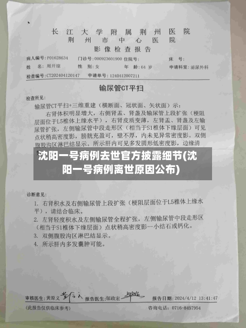 沈阳一号病例去世官方披露细节(沈阳一号病例离世原因公布)