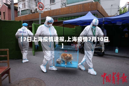 【7日上海疫情速报,上海疫情7月10日】-第3张图片