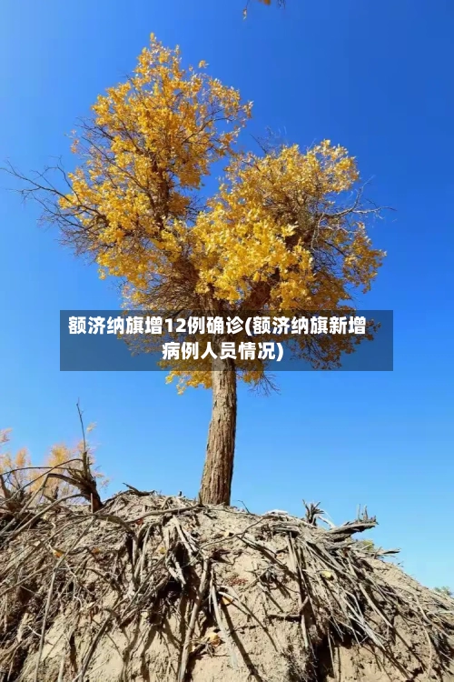 额济纳旗增12例确诊(额济纳旗新增病例人员情况)-第2张图片