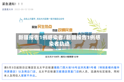 新疆报告1例感染者/新疆报告1例感染者轨迹