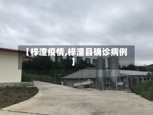 【梓潼疫情,梓潼县确诊病例】-第2张图片