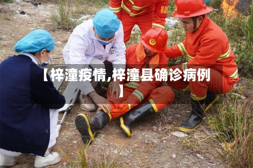 【梓潼疫情,梓潼县确诊病例】