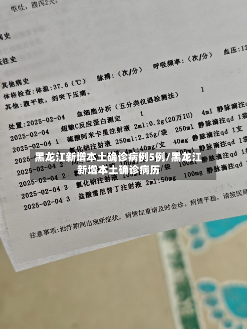 黑龙江新增本土确诊病例5例/黑龙江新增本土确诊病历-第2张图片