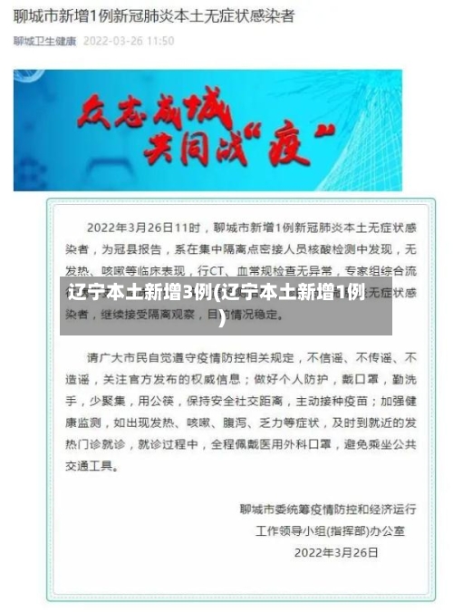 辽宁本土新增3例(辽宁本土新增1例)-第2张图片