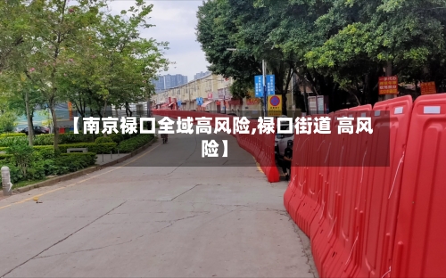 【南京禄口全域高风险,禄口街道 高风险】
