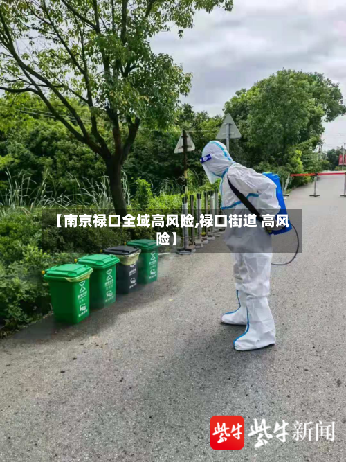 【南京禄口全域高风险,禄口街道 高风险】-第2张图片