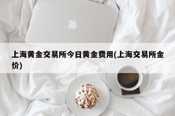 上海黄金交易所今日黄金费用(上海交易所金价)