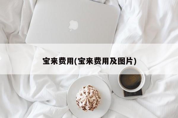 宝来费用(宝来费用及图片)
