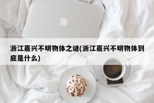 浙江嘉兴不明物体之谜(浙江嘉兴不明物体到底是什么)
