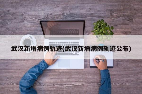 武汉新增病例轨迹(武汉新增病例轨迹公布)